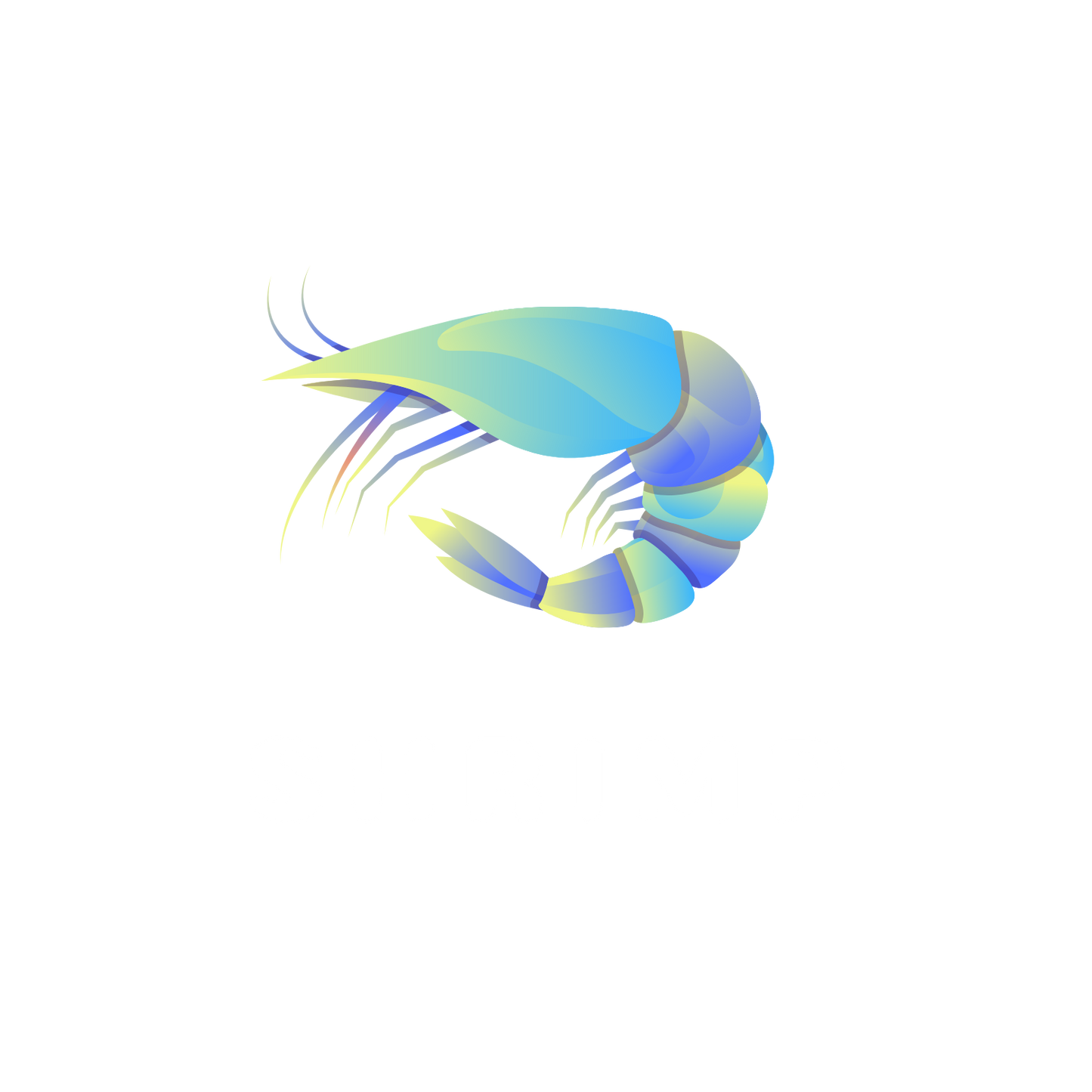Shrimp Plan