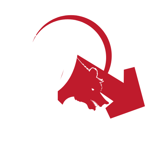 Albu Academy