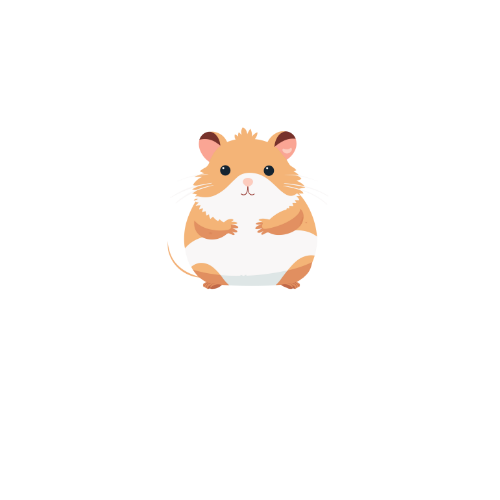 Introduction to Crypto Trading - Crypto Hamster